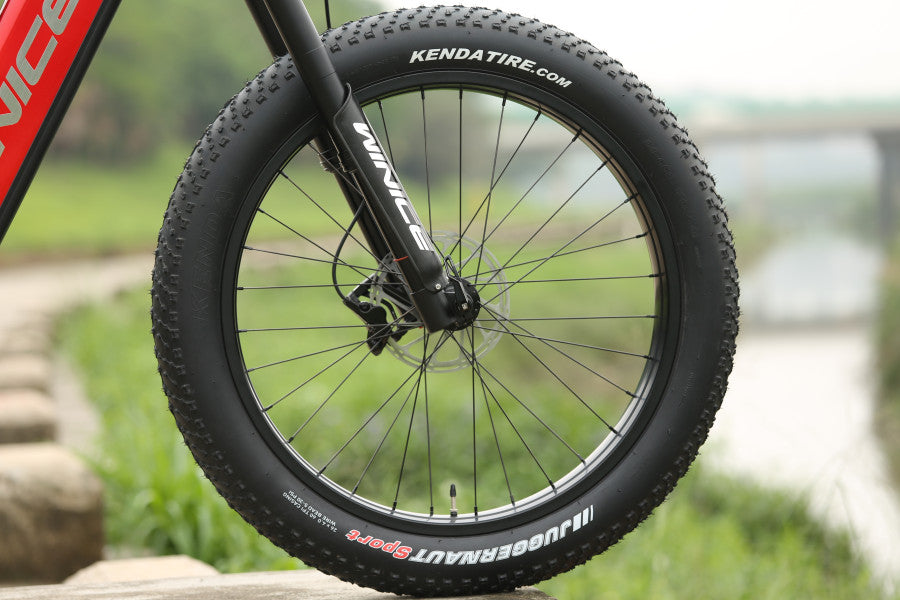 DengFu E56 Economical real photo-34