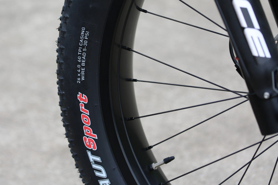 DengFu E56 Economical real photo-38