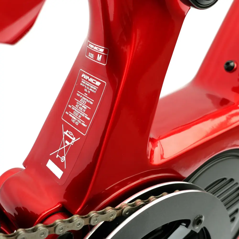 DengFu Winice E55 AM Carbon Ebike M620 UART 52V 1000W 20Ah 1040Wh 27.5er/29er Dubhe In Stock FREE Shipping