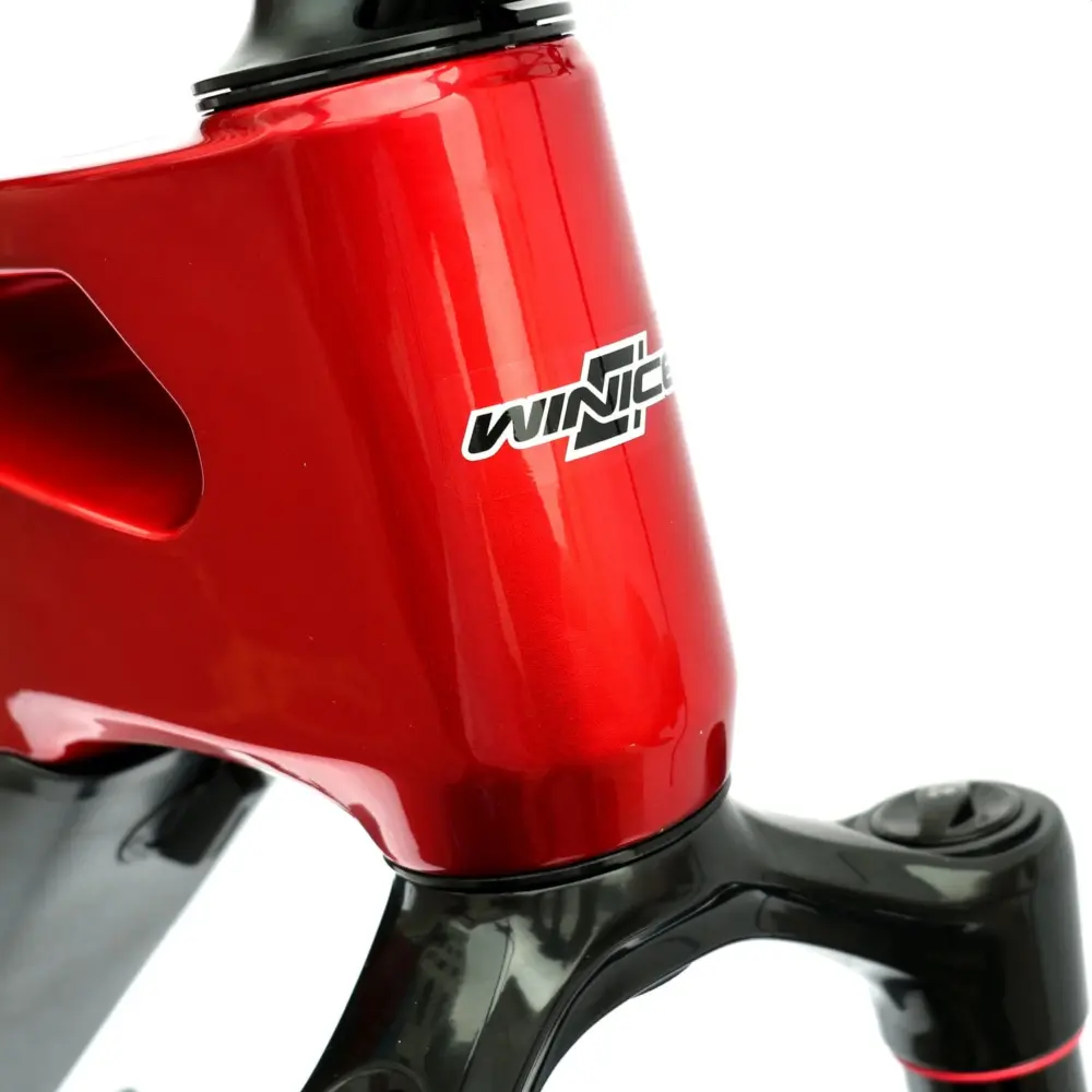 DengFu Winice E55 AM Carbon Ebike M620 UART 52V 1000W 20Ah 1040Wh 27.5er/29er Dubhe In Stock FREE Shipping