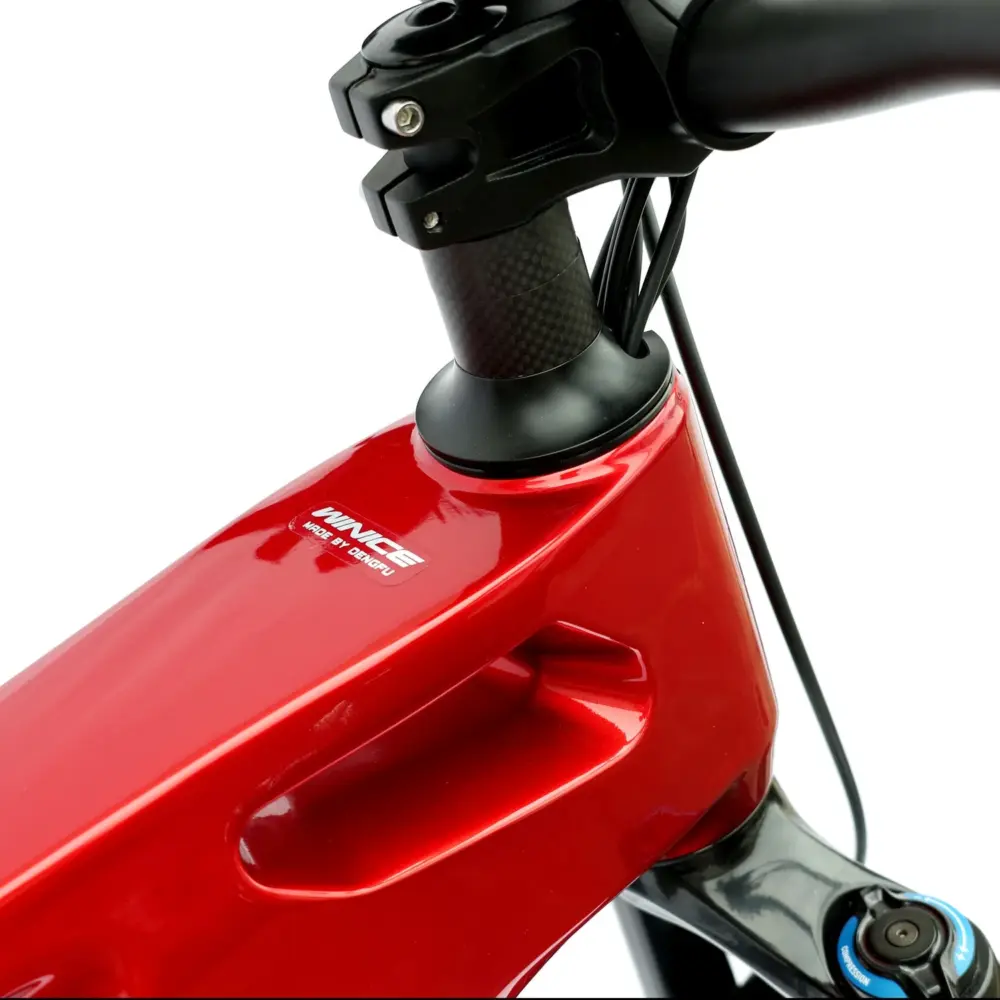 DengFu Winice E55 AM Carbon Ebike M620 UART 52V 1000W 20Ah 1040Wh 27.5er/29er Dubhe In Stock FREE Shipping