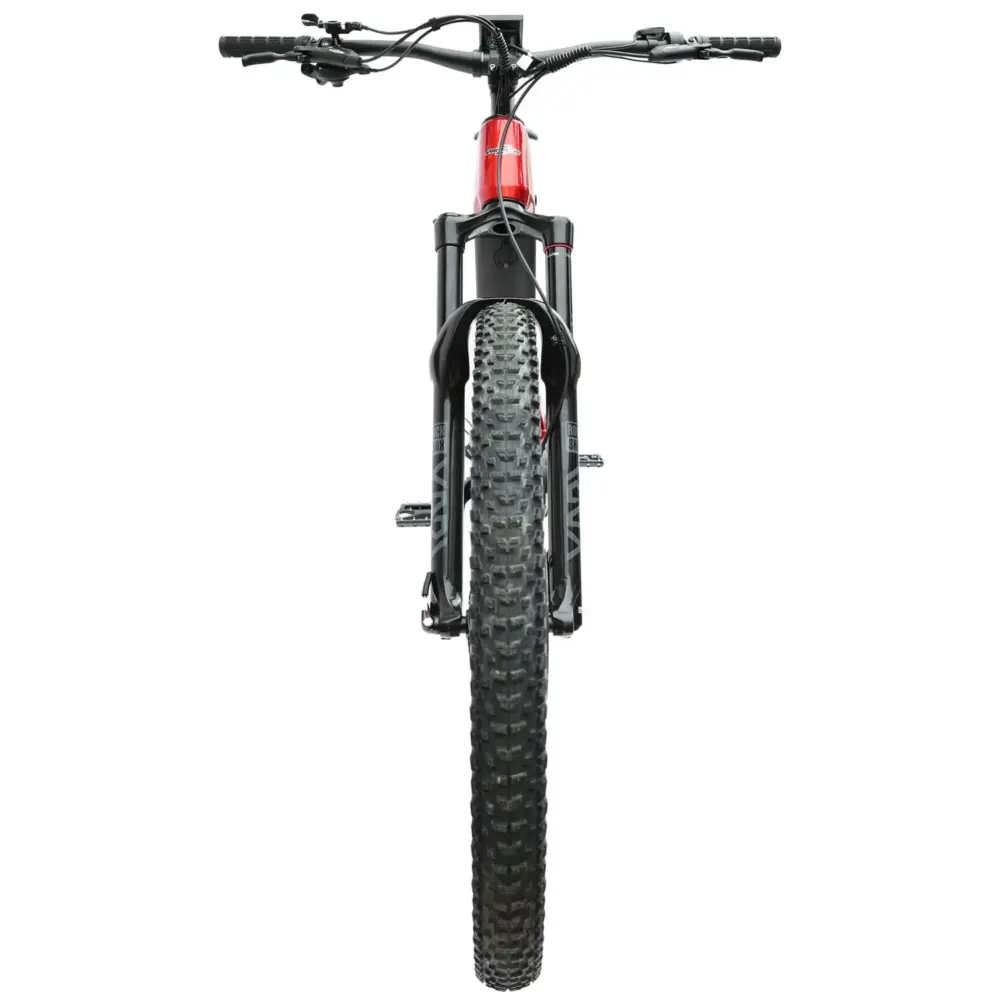 DengFu Winice E55 AM Carbon Ebike M620 UART 52V 1000W 20Ah 1040Wh 27.5er/29er Dubhe In Stock FREE Shipping