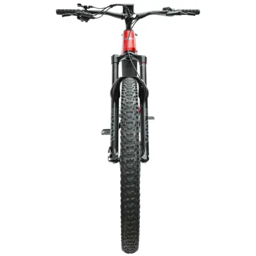 DengFu Winice E55 AM Carbon Ebike M620 UART 52V 1000W 20Ah 1040Wh 27.5er/29er Dubhe In Stock FREE Shipping