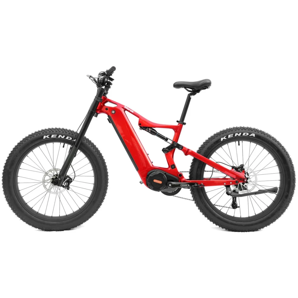 DengFu Winice E56 FAT Carbon Ebike