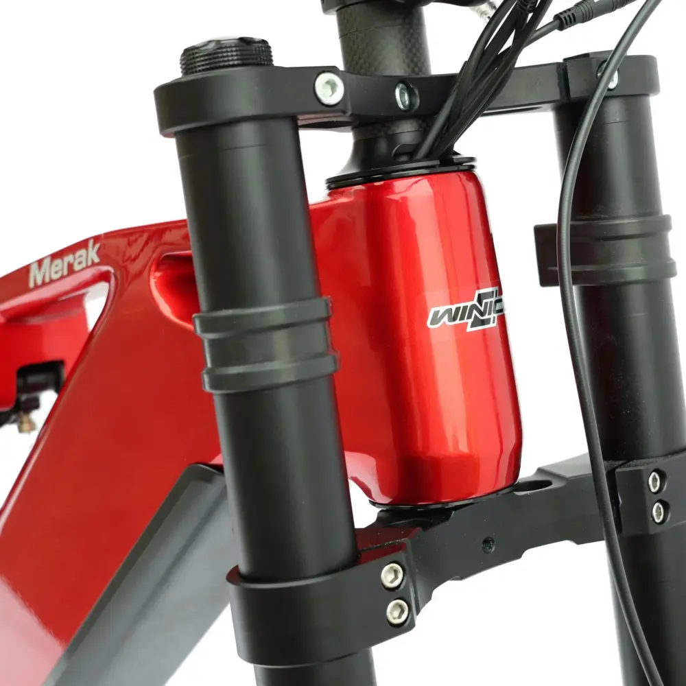 DengFu Winice E56 FAT Carbon Ebike M620 UART 52V 1000W 20Ah 1040Wh 26er Merak In Stock FREE Shipping