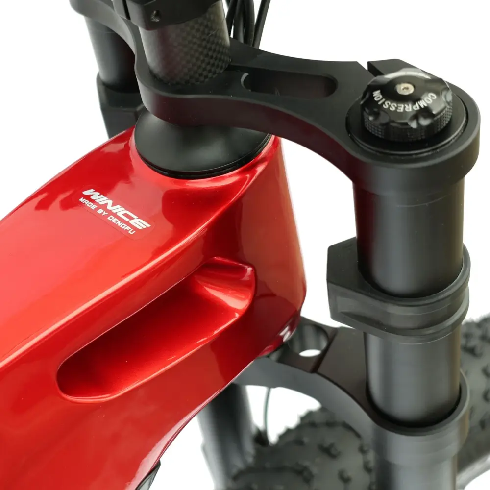 DengFu Winice E56 FAT Carbon Ebike M620 UART 52V 1000W 20Ah 1040Wh 26er Merak In Stock FREE Shipping