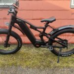 DengFu Winice E56 FAT Carbon Ebike M620 UART 52V 1000W 20Ah 1040Wh 26er Merak