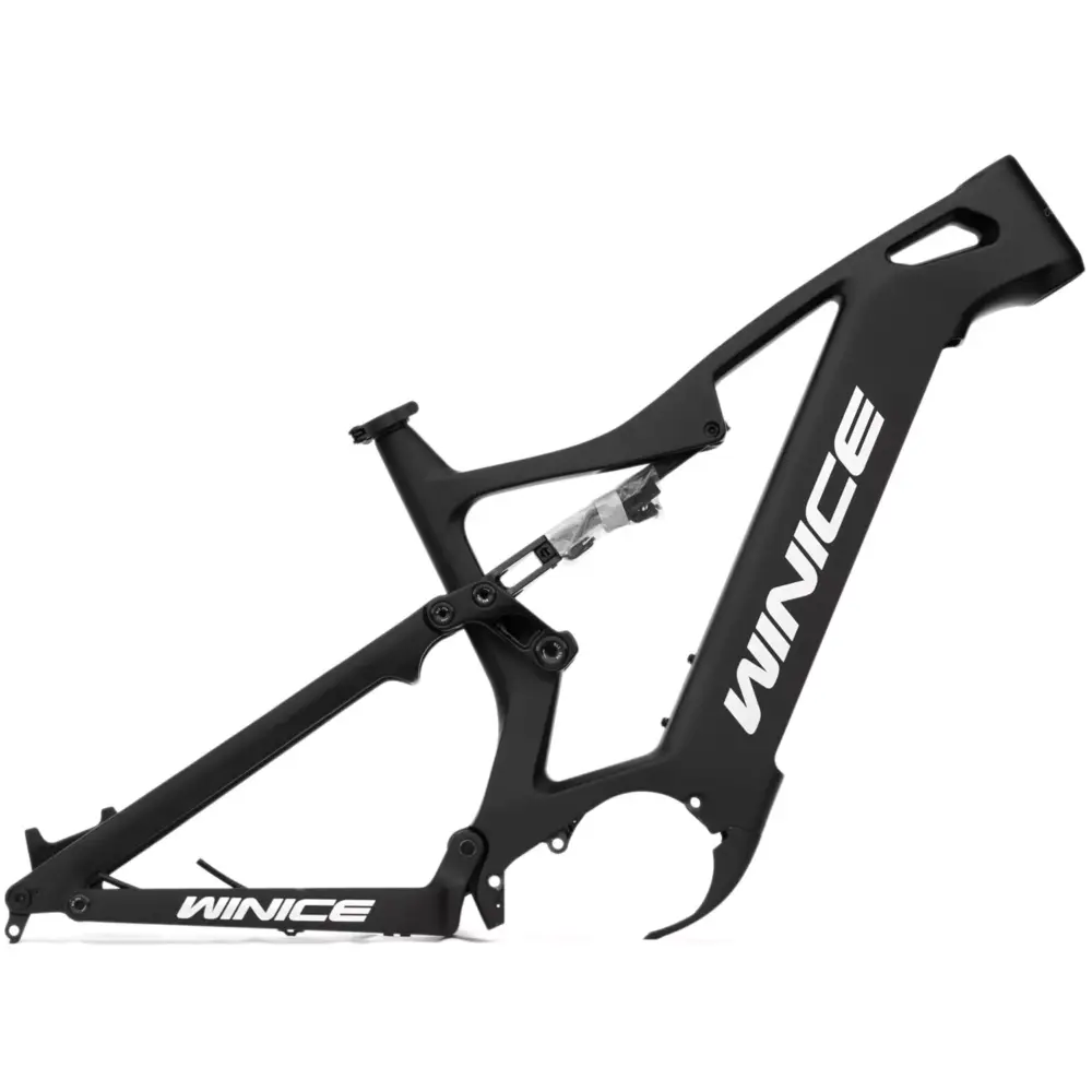 DengFu Winice E55 AM Carbon Frame