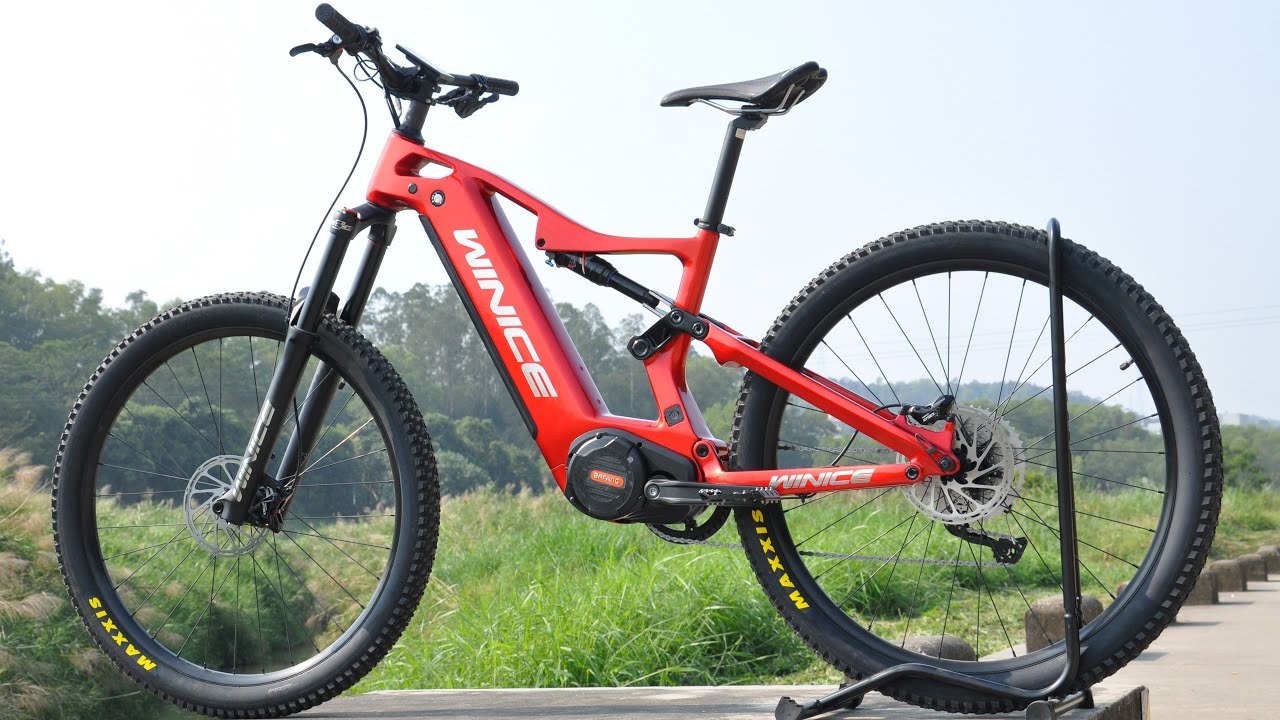 Dengfu ebike hot sale