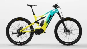 DengFu Winice E55 carbon frame customer painting design