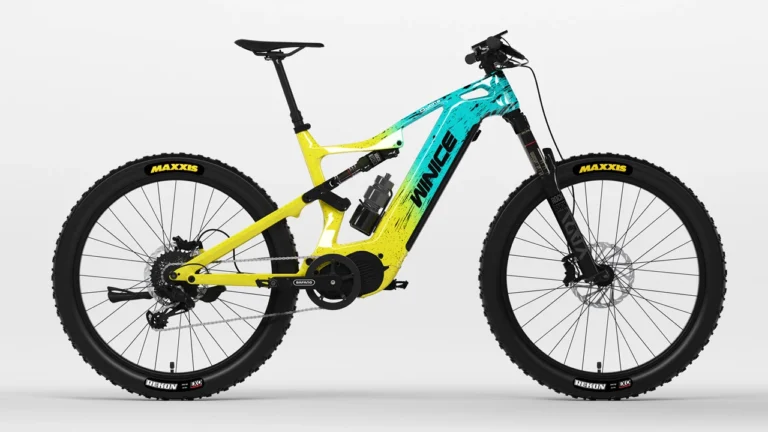 DengFu Winice E55 carbon frame customer painting design