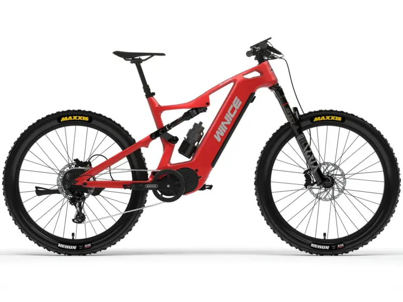 DengFu Winice E55 AM Carbon Ebike