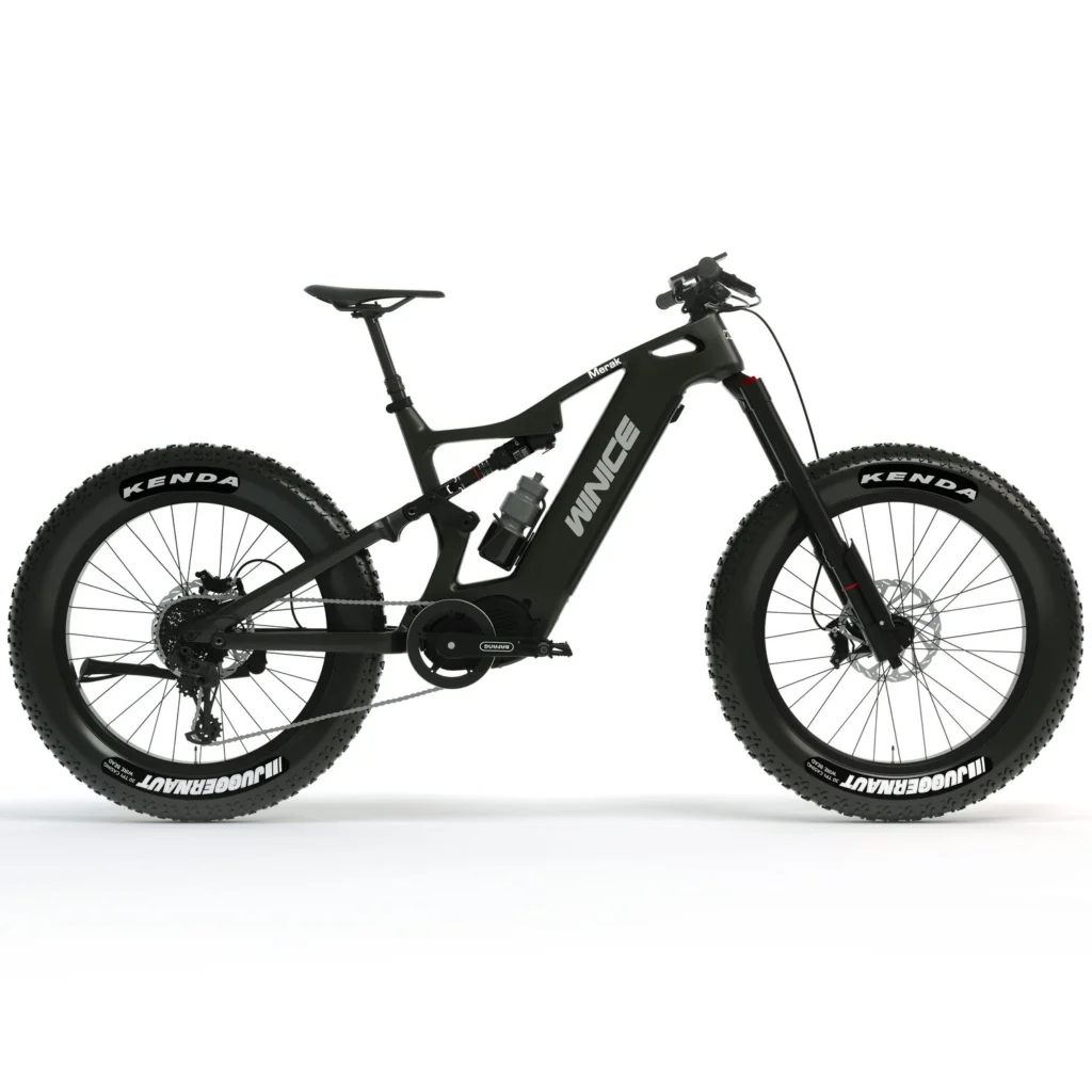 DengFu Winice E56 FAT Carbon Ebike