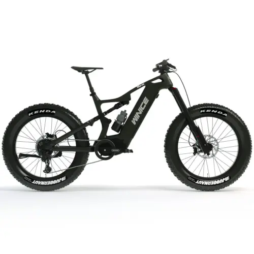 DengFu Winice E56 FAT Carbon Ebike
