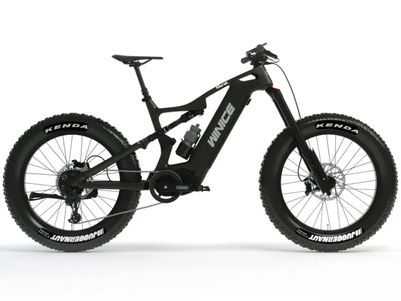DengFu Winice E56 FAT Carbon Ebike