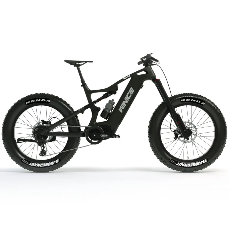 DengFu Winice E56 FAT Carbon Ebike
