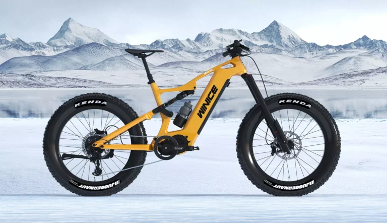 DengFu Winice E56 in winter