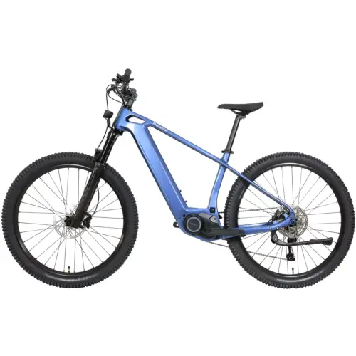 DengFu Winice E58 HARDTAIL Carbon Ebike 500W 17.5Ah 840Wh 29er Polaris In Stock FREE Shipping USA