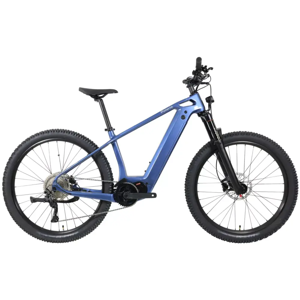 DengFu Winice E58 HARDTAIL Carbon Ebike 500W 17.5Ah 840Wh 29er Polaris In Stock FREE Shipping USA