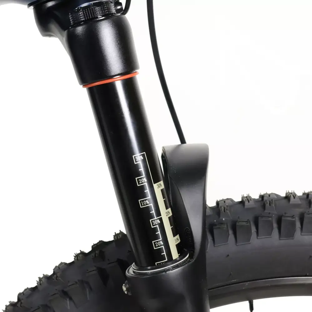 DengFu Winice E58 HARDTAIL Carbon Ebike 500W 17.5Ah 840Wh 29er Polaris In Stock FREE Shipping USA