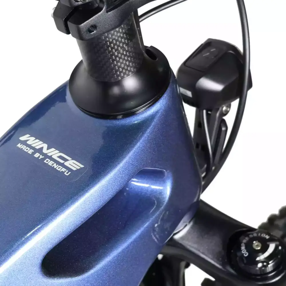 DengFu Winice E58 HARDTAIL Carbon Ebike 500W 17.5Ah 840Wh 29er Polaris In Stock FREE Shipping USA