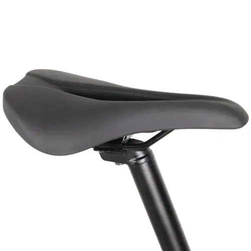 DengFu Winice E58 HARDTAIL Carbon Ebike 500W 17.5Ah 840Wh 29er Polaris In Stock FREE Shipping USA