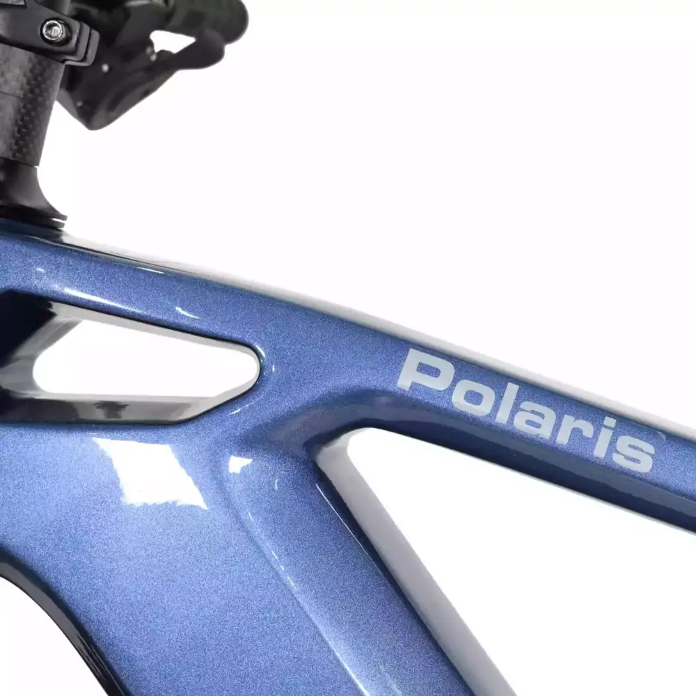 DengFu Winice E58 HARDTAIL Carbon Ebike 500W 17.5Ah 840Wh 29er Polaris In Stock FREE Shipping USA