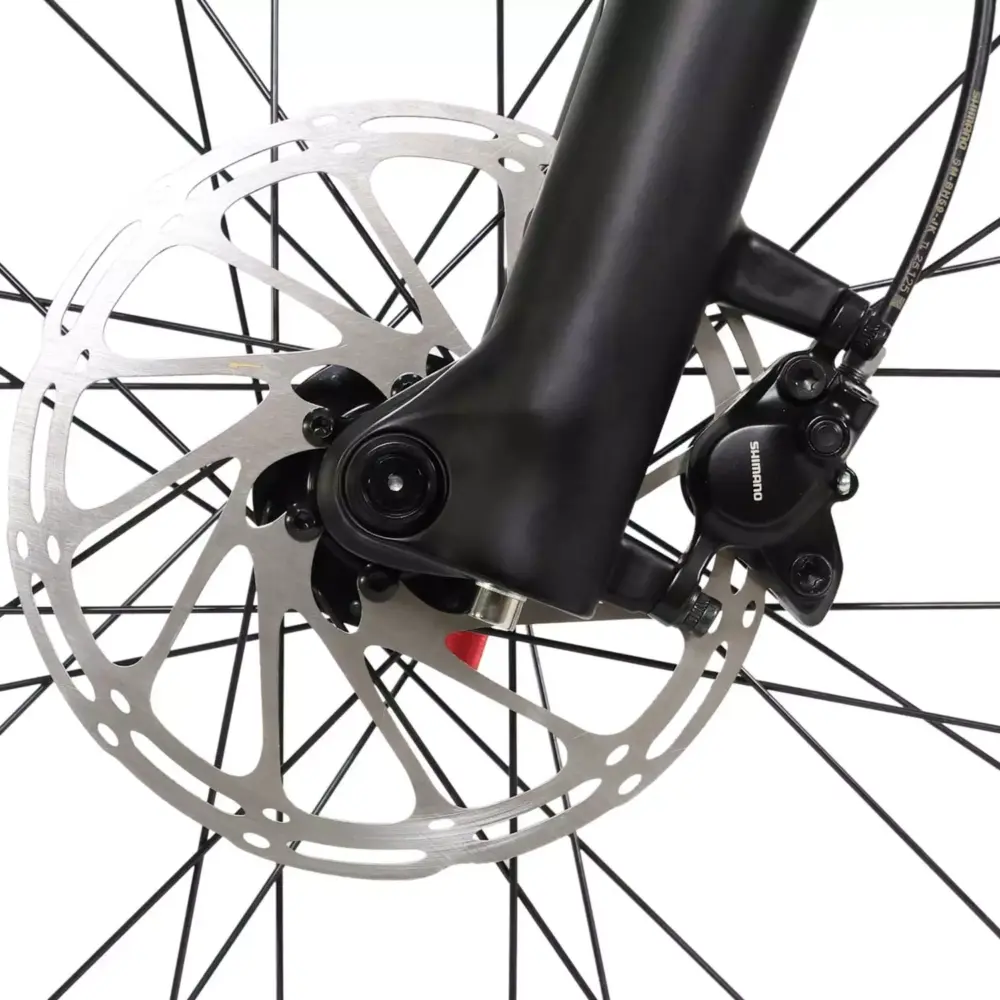 DengFu Winice E58 HARDTAIL Carbon Ebike 500W 17.5Ah 840Wh 29er Polaris In Stock FREE Shipping USA