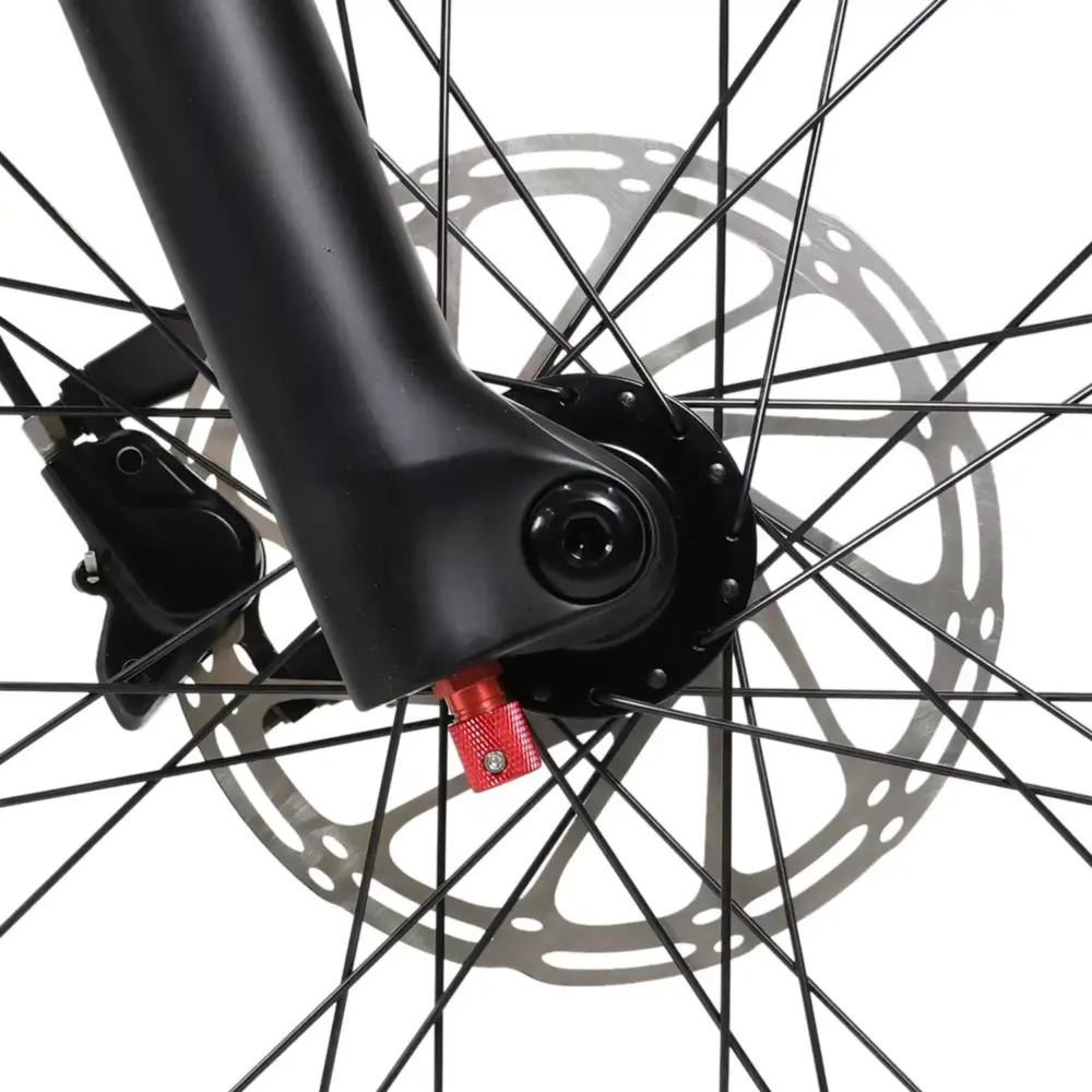 DengFu Winice E58 HARDTAIL Carbon Ebike 500W 17.5Ah 840Wh 29er Polaris In Stock FREE Shipping USA