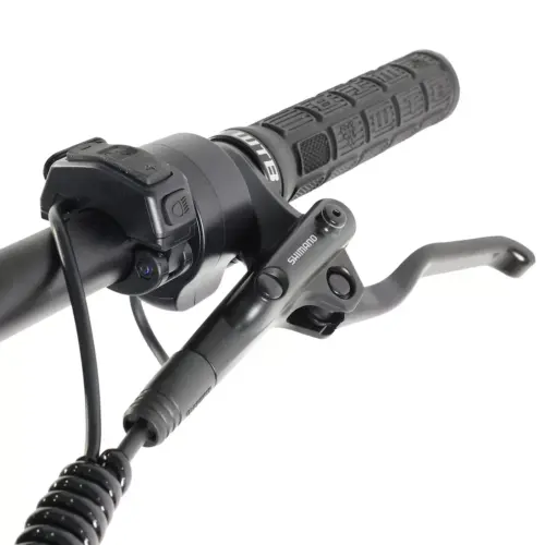 DengFu Winice E58 HARDTAIL Carbon Ebike 500W 17.5Ah 840Wh 29er Polaris In Stock FREE Shipping USA