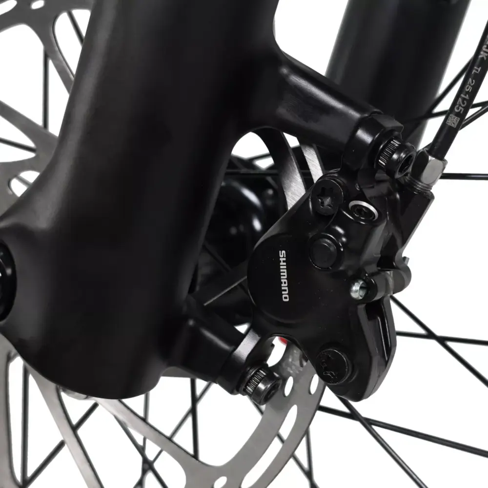 DengFu Winice E58 HARDTAIL Carbon Ebike 500W 17.5Ah 840Wh 29er Polaris In Stock FREE Shipping USA